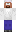 skin of a player