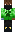 skin of a player