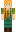 skin of a player