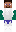 skin of a player