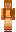 skin of a player