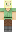 skin of a player