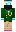 skin of a player