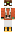 skin of a player
