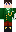 skin of a player