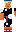 skin of a player