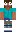 skin of a player