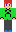 skin of a player