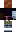 skin of a player