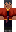 skin of a player