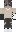 skin of a player