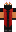 skin of a player