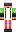 skin of a player