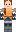 skin of a player