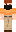 skin of a player