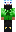skin of a player