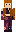skin of a player