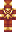 skin of a player