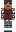 skin of a player