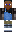skin of a player