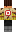 skin of a player
