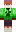 skin of a player