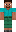 skin of a player