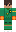 skin of a player