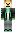 skin of a player
