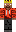 skin of a player