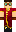 skin of a player
