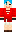 skin of a player