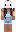 skin of a player