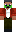 skin of a player