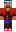 skin of a player