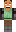 skin of a player