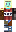 skin of a player