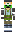 skin of a player