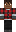 skin of a player