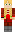skin of a player