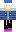 skin of a player
