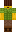 skin of a player
