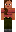 skin of a player