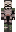 skin of a player