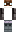skin of a player