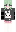 skin of a player