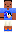 skin of a player