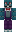 skin of a player