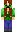 skin of a player