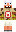 skin of a player